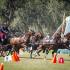 Four USEF National Champions Determined On Final Day of Competition